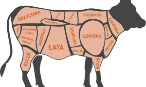 Wołowina co to za mięso? Poznaj jej pochodzenie i zastosowanie