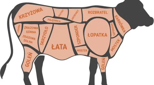 Wołowina co to za mięso? Poznaj jej pochodzenie i zastosowanie